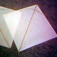 Image for Brazilian Fighter photo guide