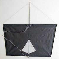 Image for Bruhzilian fighter kite