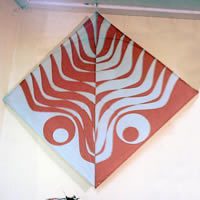 Image for Chilean Fighter photo guide