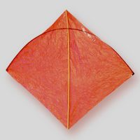 Image for Tissue, bamboo, carbon fighter