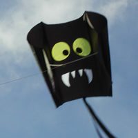 Image for Flagersled