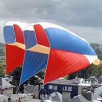 Image for Flowform 3.0 Modified