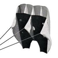 Image for Flow form kite