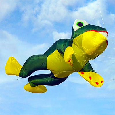 Image for Froggy der frosch