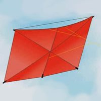 Image for Gentle Giant Buka