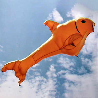 Image for Oskar der Goldfisch