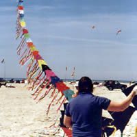 Image for Hamburger Eddy-Kette