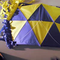 Image for Combatant Häitien