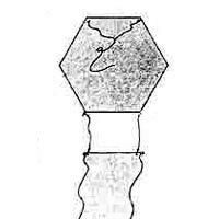 Image for L´Hexagone