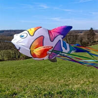 Image for Windspiel Hoppelfisch