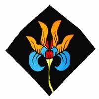 Image for Indonesian Fighter