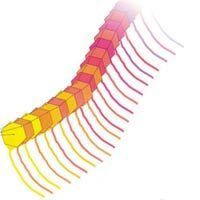 Image for Cadena de barriletes