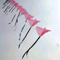 Image for Geisterzug (ghost train)