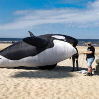Image for Killer whale
