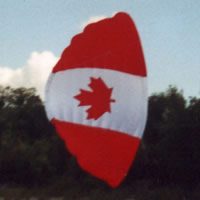 Image for eNPW5 Calculator