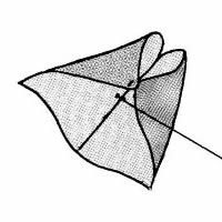 Image for Bumble Bee