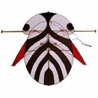 Image for Nagoya Koryu