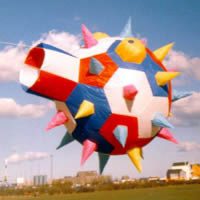 Image for Lav selv en kuglefisk