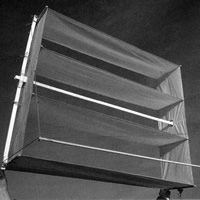 Image for Regal Drachen