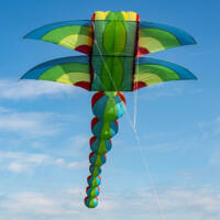 Image for Dragonfly / Libelle