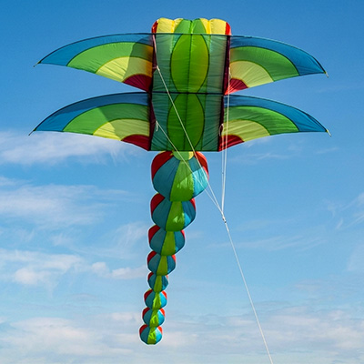 Image for Dragonfly / Libelle