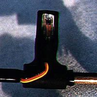 Image for Night Lights