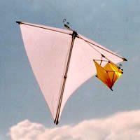 Image for Mensajeros para lanzar dulces