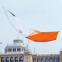 Image for Malard details