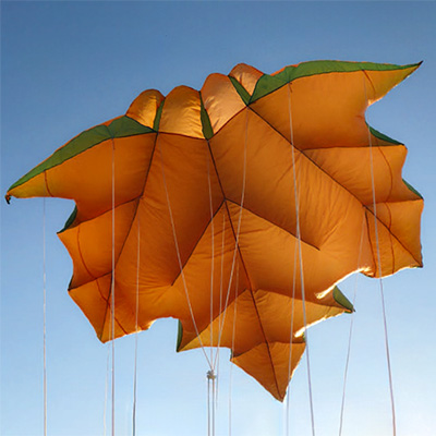 Image for Maple Leaf