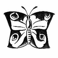 Image for Schmetterlingsdrachen