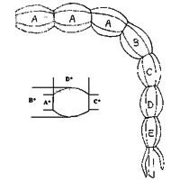 Image for Queue Melon