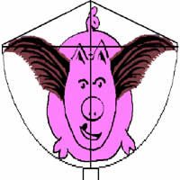 Image for Mini Shield Kite