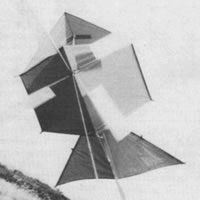 Image for Molenvlieger