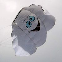 Image for Nasa de 0.7m cuadrados