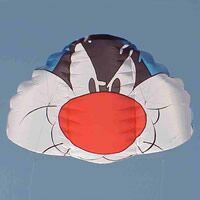 Image for NPW5 5,4m2