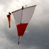 Image for Navette pour bonbons