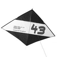 Image for The urban ninja