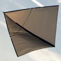 Image for The Urban Ninja - Updated