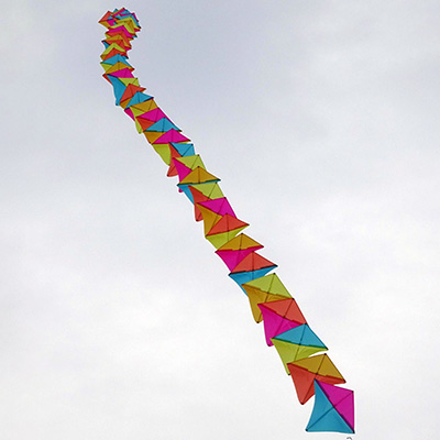 Image for Nyoman Shimmy