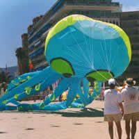 Image for 7m octopus