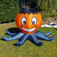 Image for Bouncing Octopus