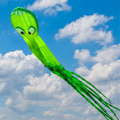 Image for Mittelgroße Krake (ca. 15m)