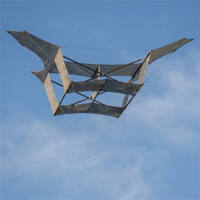 Image for One Piece Cody