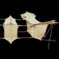 Image for Original Cody Kite