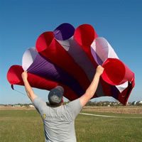 Image for Panflute Revisited