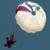 Image for Lanzamiento de parafauna