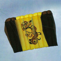 Image for The Painless Parafoil