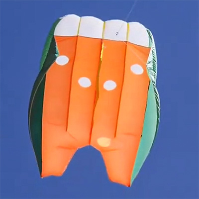 Image for Flowform 16