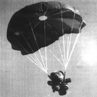 Image for P.A.W.S. parachute and pack