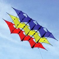 Image for Pely Variant